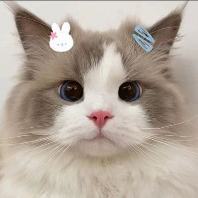 Nia Febrianti avatar