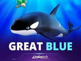 Great Blue screenshot