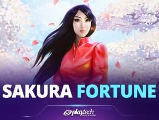 Sakura Fortune Live screenshot