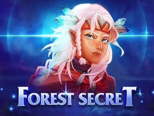 Forest Secret screenshot